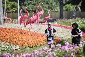 BIB: 
                            <button type="button" onclick="openModal(27793559)" class="btn btn-primary btn-sm float-right btn-popup" data-toggle="modal" data-target=".modal-high-quality">
                        <i class="fas fa-shopping-cart"></i> Add to Cart
                    </button>
                                            <button type="button" onclick="isThisMe(27793559, true)" class="btn btn-success btn-sm float-right btn-popup btn-isme hidden" data-toggle="tooltip" data-placement="bottom" title="นี่คือรูปของคุณใช่ไหม คลิกที่นี่เพื่อเอาเข้าอัลบั้ม">
                        <i class="fas fa-plus"></i> Add to album
                    </button>
                    <button type="button" onclick="isThisMe(27793559, false)" class="btn btn-warning btn-sm float-right btn-popup btn-isnotme hidden">
                        <i class="fas fa-ban"></i> Remove from album
                    </button>